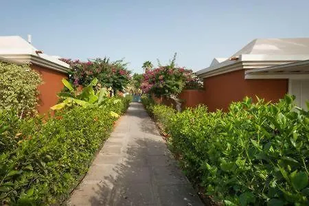 Melocotones In - Playa Del Ingles ماسبالوماس